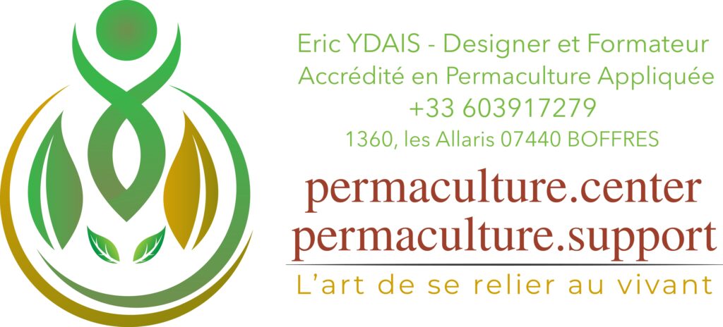 YDAIS ERIC Logo Signature EY